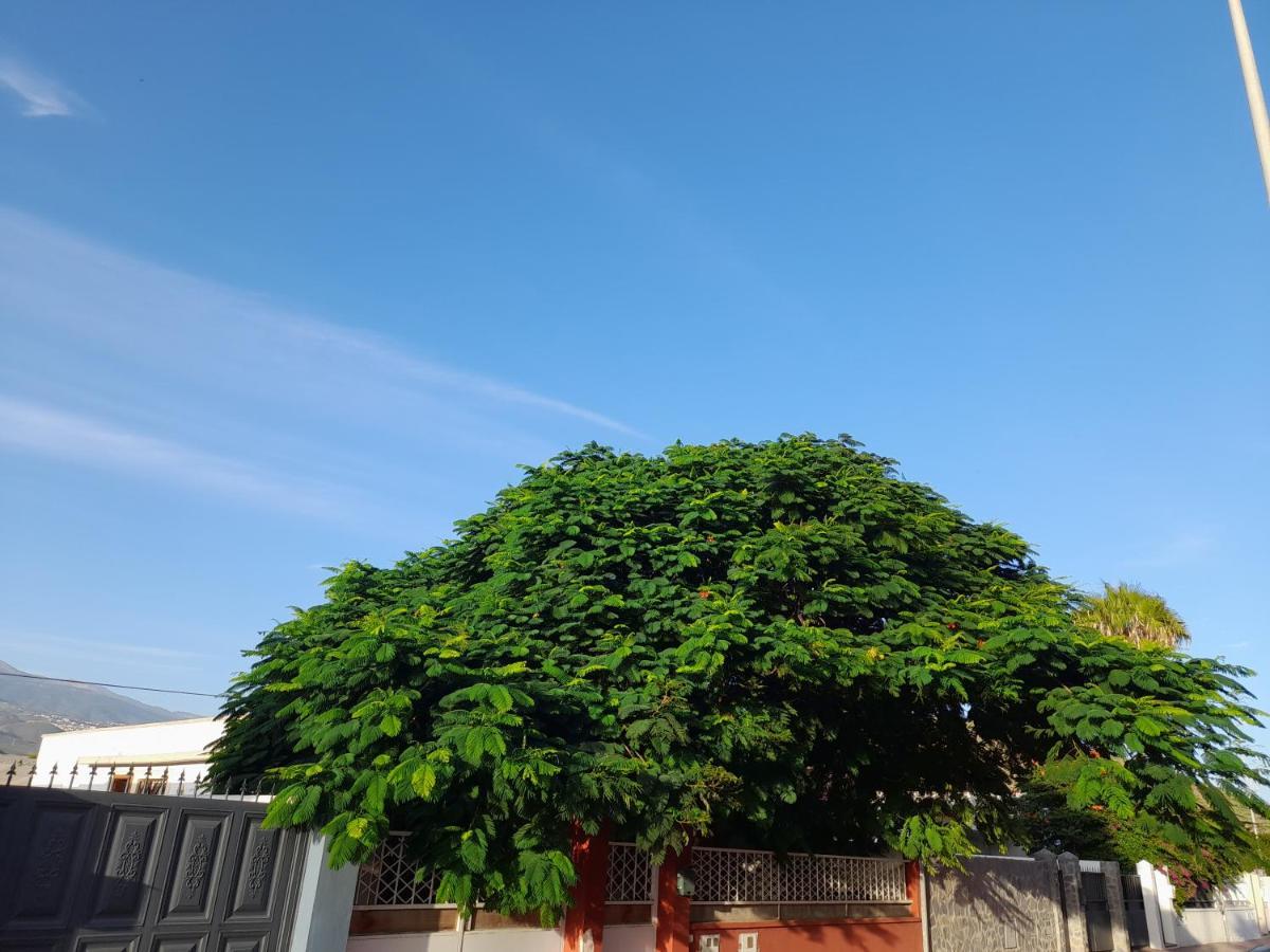 Tenerife Homestay San Miguel de Abona Extérieur photo