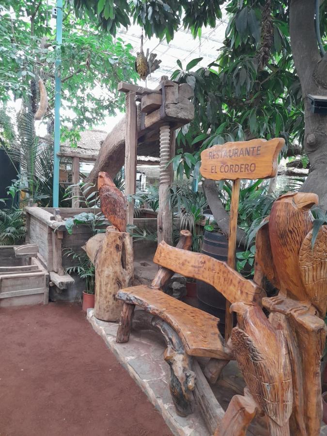 Tenerife Homestay San Miguel de Abona Extérieur photo